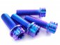 Preview: Lenkerklemmung Titanschrauben Violett-Blau 4x M8x25 passend für Husqvarna 701 FE FC FX KTM 690 SMC-R EXC SX F