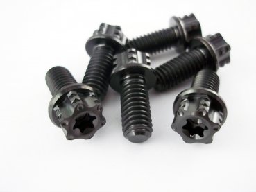 Bremsscheibe Titanschrauben M6x13 passend für KTM EXC SX SMR Husqvarna TC FC FX FS TE FE Husaberg GasGas