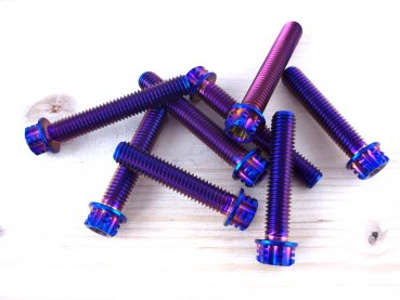 Gabelbrücke Titanschrauben Blau-Lila passend für Husqvarna FE TE FC FS, KTM EXC SixDays SX