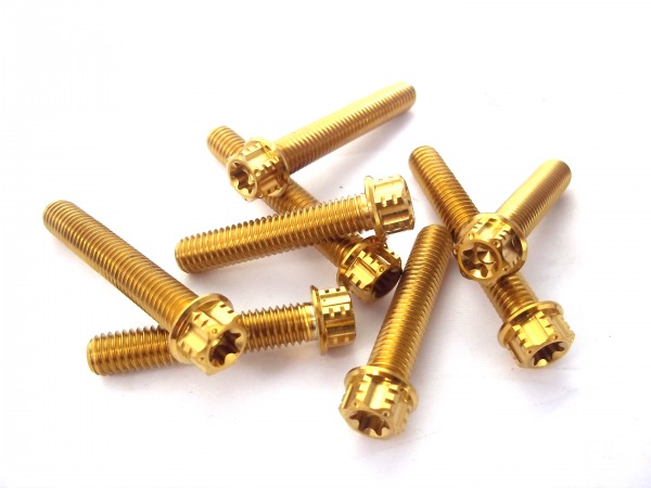 Gabelbrücke Titanschrauben goldfarben passend für KTM EXC SixDays SX Husqvarna FE TE FC FS