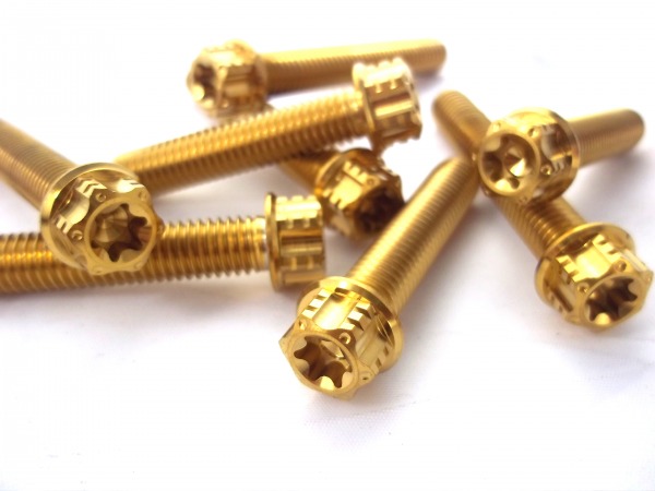 Gabelbrücke Titanschrauben goldfarben passend für KTM EXC SixDays SX Husqvarna FE TE FC FS