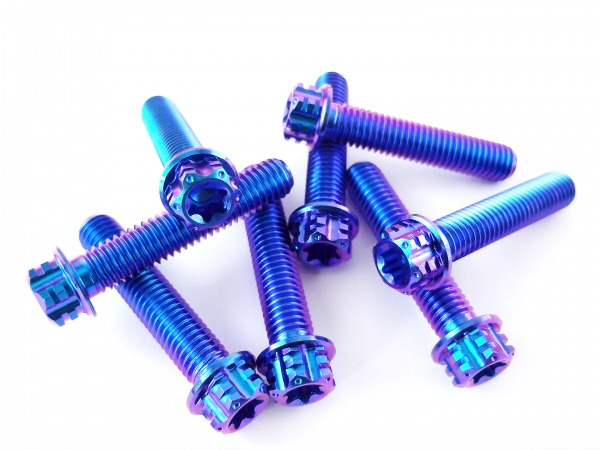 Gabelbrücke Titanschrauben Violett-Blau passend für Husqvarna 701 KTM 690 SMC-R Enduro