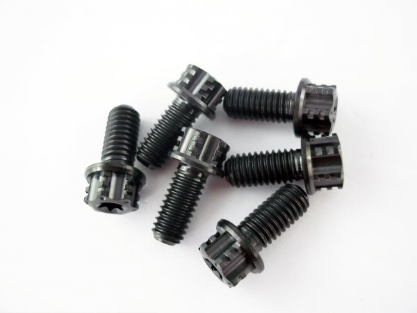 Bremsscheibe Titanschrauben M6x13 passend für KTM EXC SX SMR Husqvarna TC FC FX FS TE FE Husaberg GasGas