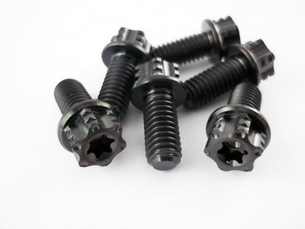 Bremsscheibe Titanschrauben M6x13 passend für KTM EXC SX SMR Husqvarna TC FC FX FS TE FE Husaberg GasGas