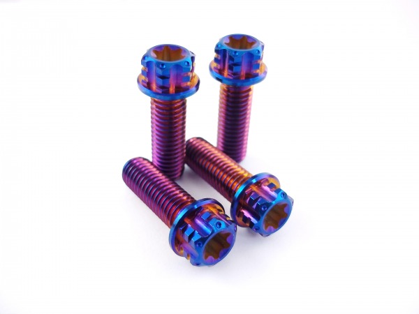 Gabelfuß Titanschrauben 4x M8x25 blau-lila gebrannt passend für KTM EXC SX SMR Husaberg Husqvarna FE TE FS FC FX GasGas