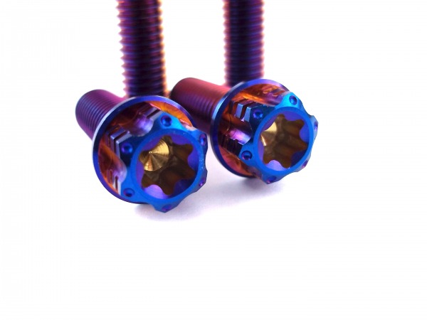 Gabelfuß Titanschrauben 4x M8x25 blau-lila gebrannt passend für KTM EXC SX SMR Husaberg Husqvarna FE TE FS FC FX GasGas